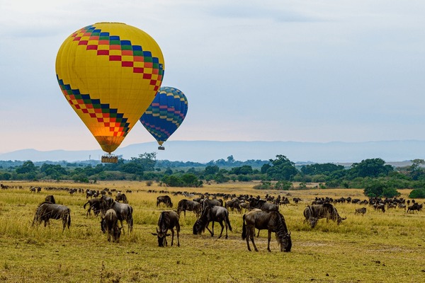 Maasai Mara